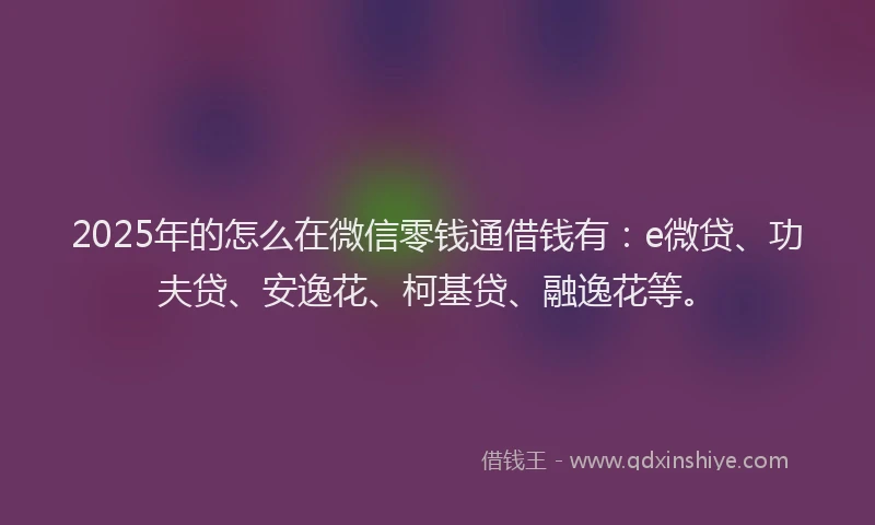 2025年的怎么在微信零钱通借钱有：e微贷、功夫贷、安逸花、柯基贷、融逸花等。