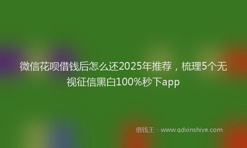 微信花呗借钱后怎么还2025年推荐，梳理5个无视征信黑白100%秒下app