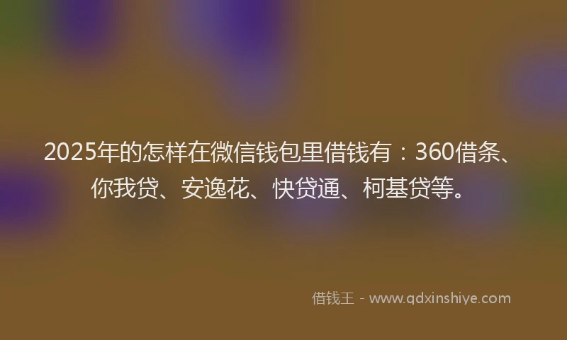 2025年的怎样在微信钱包里借钱有：360借条、你我贷、安逸花、快贷通、柯基贷等。