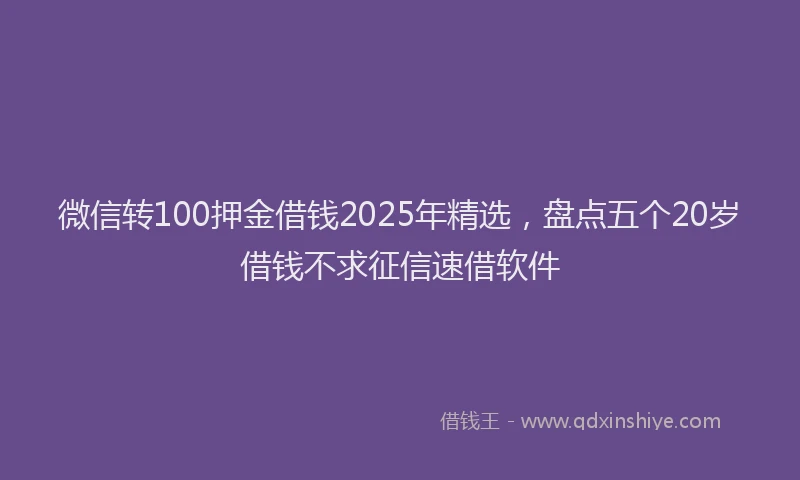 微信转100押金借钱2025年精选，盘点五个20岁借钱不求征信速借软件