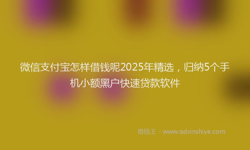 微信支付宝怎样借钱呢2025年精选，归纳5个手机小额黑户快速贷款软件