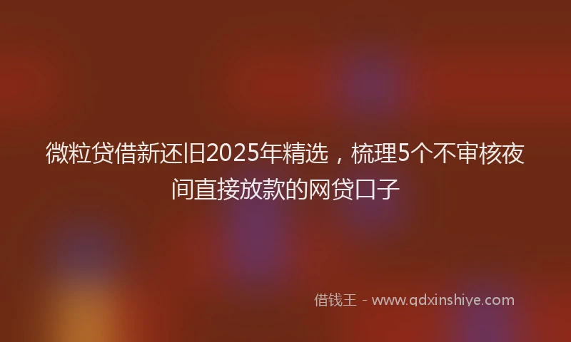 微粒贷借新还旧2025年精选，梳理5个不审核夜间直接放款的网贷口子