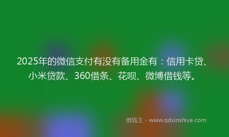 2025年的微信支付有没有备用金有：信用卡贷、小米贷款、360借条、花呗、微博借钱等。
