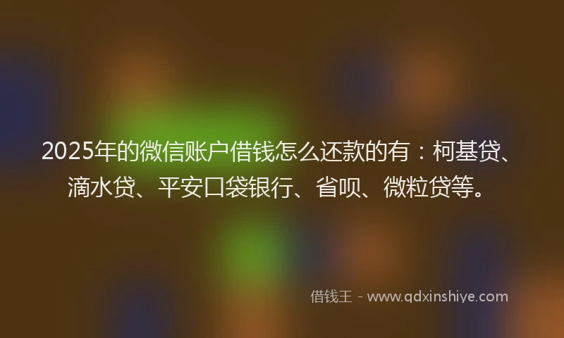 2025年的微信账户借钱怎么还款的有：柯基贷、滴水贷、平安口袋银行、省呗、微粒贷等。
