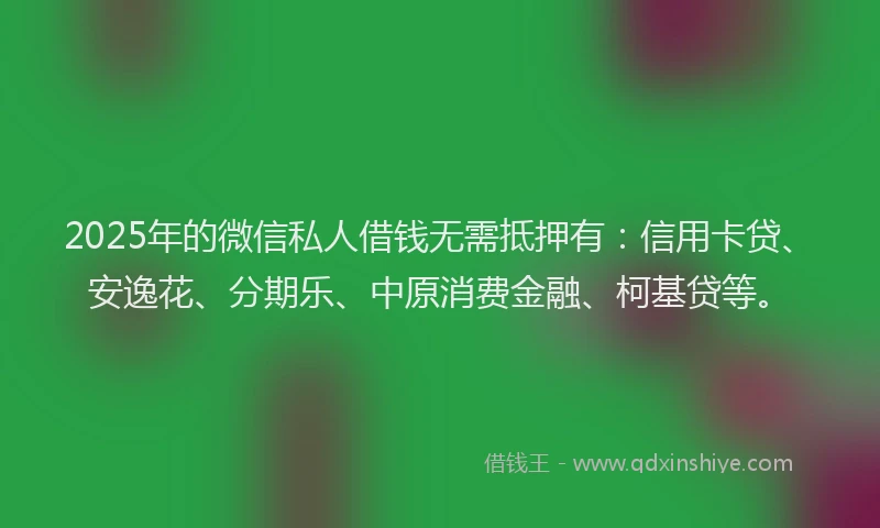 2025年的微信私人借钱无需抵押有：信用卡贷、安逸花、分期乐、中原消费金融、柯基贷等。