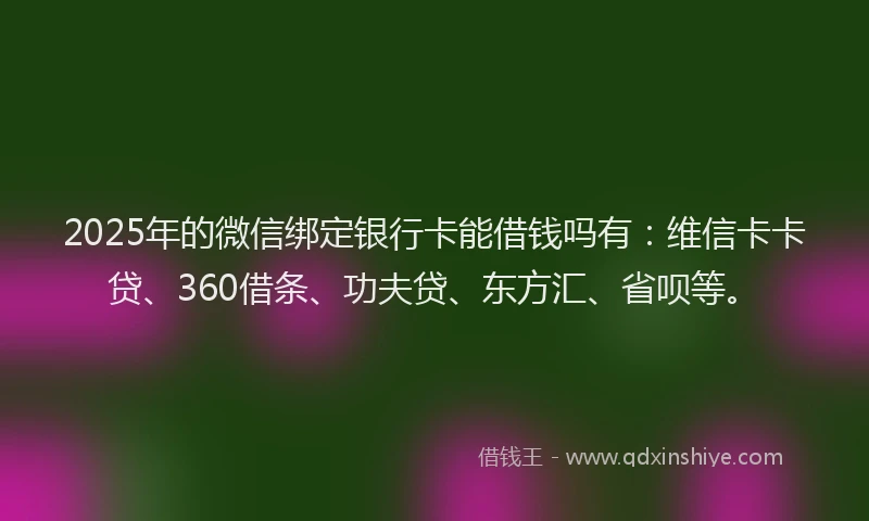 2025年的微信绑定银行卡能借钱吗有：维信卡卡贷、360借条、功夫贷、东方汇、省呗等。