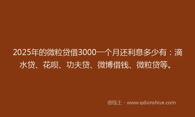 2025年的微粒贷借3000一个月还利息多少有：滴水贷、花呗、功夫贷、微博借钱、微粒贷等。