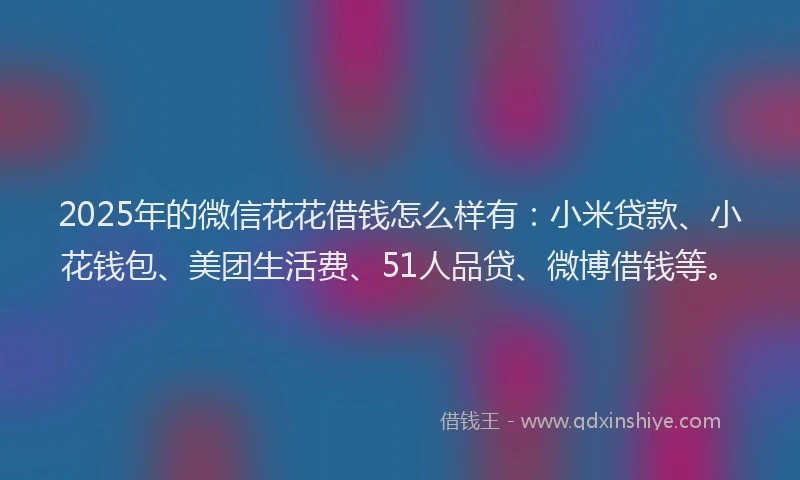 2025年的微信花花借钱怎么样有：小米贷款、小花钱包、美团生活费、51人品贷、微博借钱等。