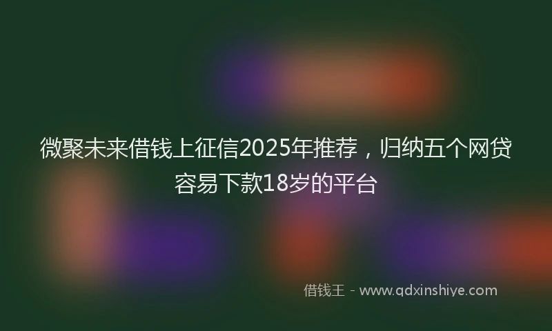 微聚未来借钱上征信2025年推荐，归纳五个网贷容易下款18岁的平台
