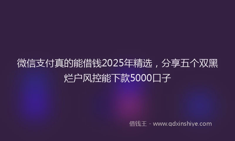 微信支付真的能借钱2025年精选，分享五个双黑烂户风控能下款5000口子