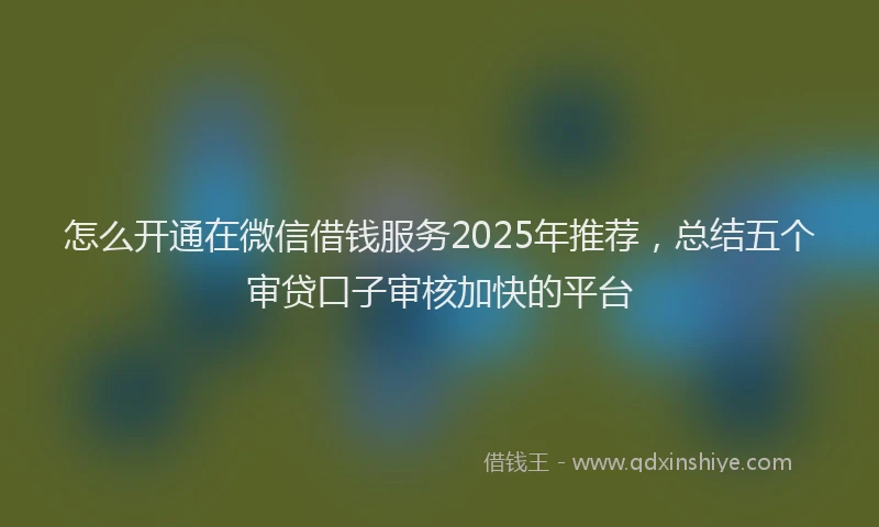 怎么开通在微信借钱服务2025年推荐，总结五个审贷口子审核加快的平台