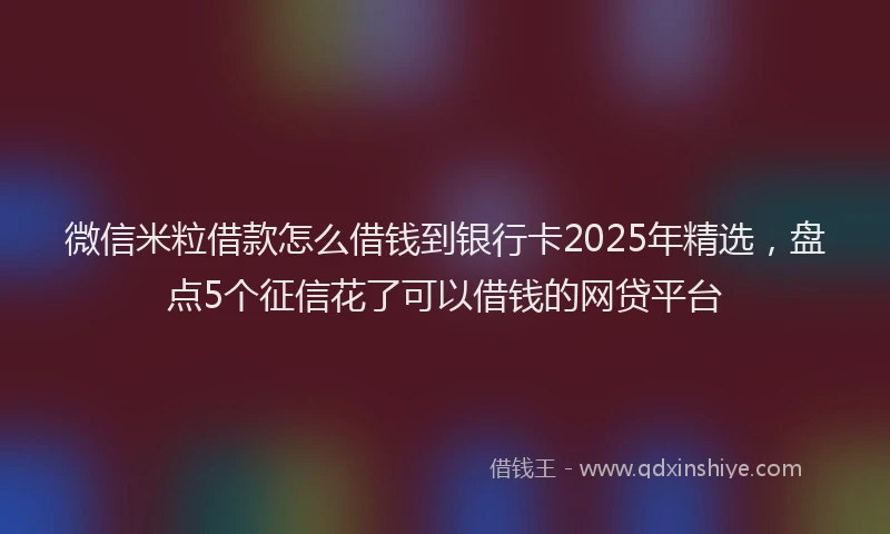微信米粒借款怎么借钱到银行卡2025年精选，盘点5个征信花了可以借钱的网贷平台