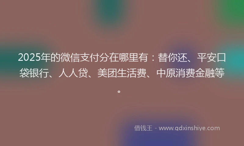 2025年的微信支付分在哪里有：替你还、平安口袋银行、人人贷、美团生活费、中原消费金融等。