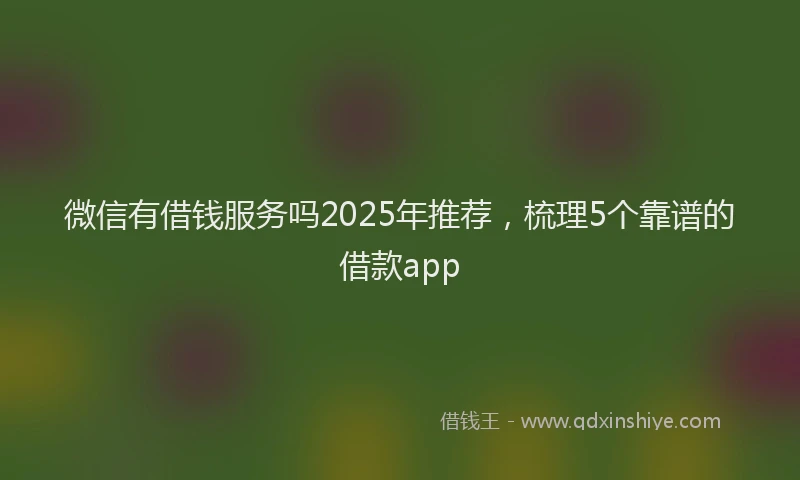 微信有借钱服务吗2025年推荐，梳理5个靠谱的借款app