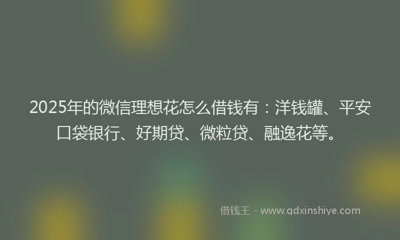 2025年的微信理想花怎么借钱有：洋钱罐、平安口袋银行、好期贷、微粒贷、融逸花等。