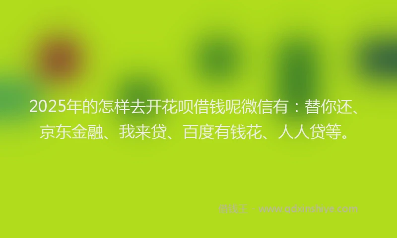 2025年的怎样去开花呗借钱呢微信有：替你还、京东金融、我来贷、百度有钱花、人人贷等。