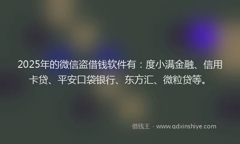 2025年的微信盗借钱软件有：度小满金融、信用卡贷、平安口袋银行、东方汇、微粒贷等。