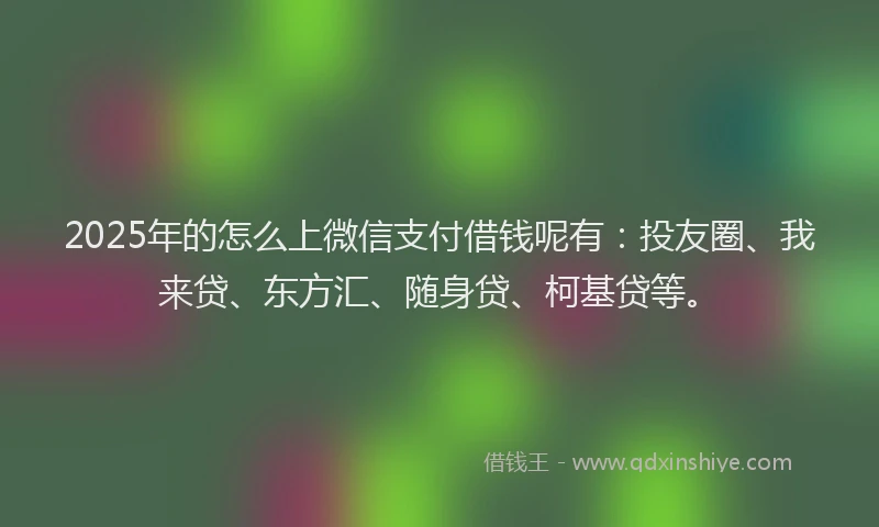 2025年的怎么上微信支付借钱呢有：投友圈、我来贷、东方汇、随身贷、柯基贷等。