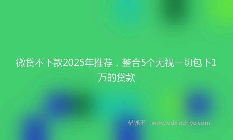 微贷不下款2025年推荐，整合5个无视一切包下1万的贷款