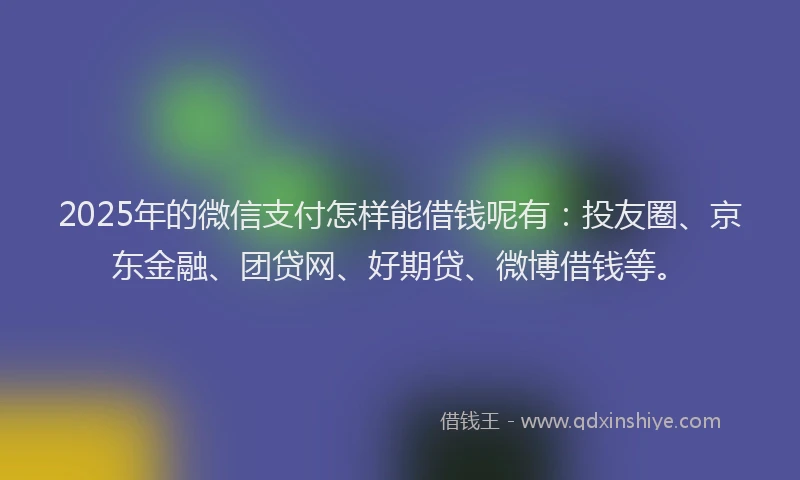 2025年的微信支付怎样能借钱呢有：投友圈、京东金融、团贷网、好期贷、微博借钱等。