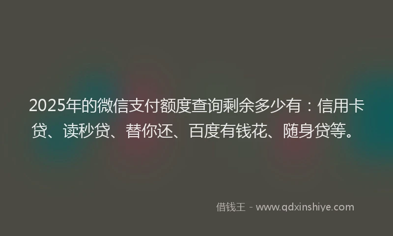 2025年的微信支付额度查询剩余多少有：信用卡贷、读秒贷、替你还、百度有钱花、随身贷等。