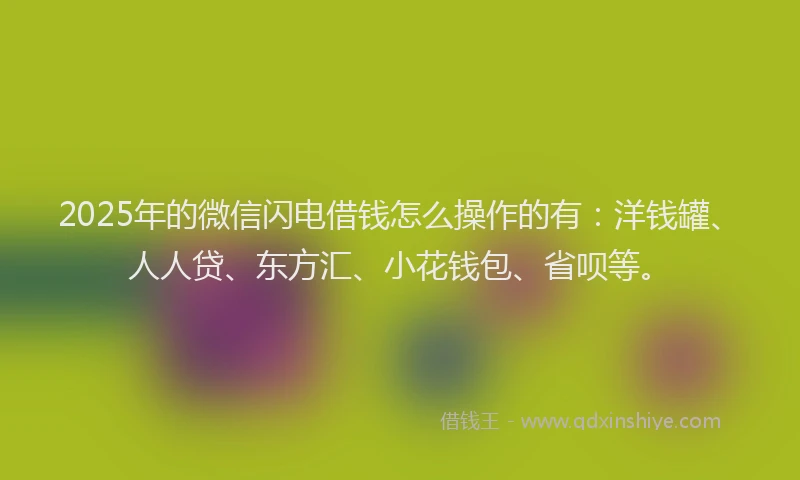 2025年的微信闪电借钱怎么操作的有：洋钱罐、人人贷、东方汇、小花钱包、省呗等。