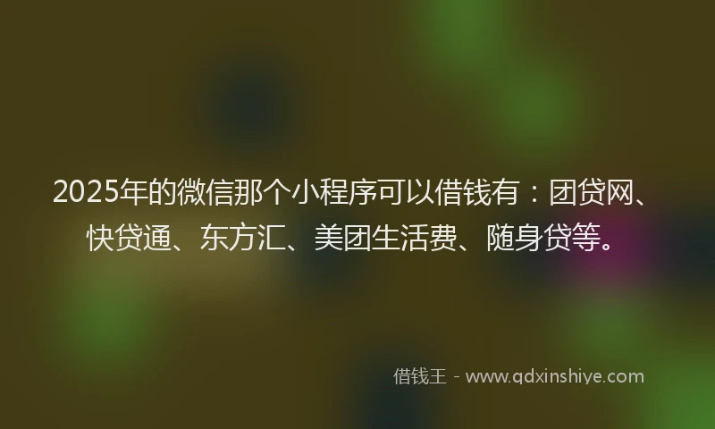 2025年的微信那个小程序可以借钱有：团贷网、快贷通、东方汇、美团生活费、随身贷等。