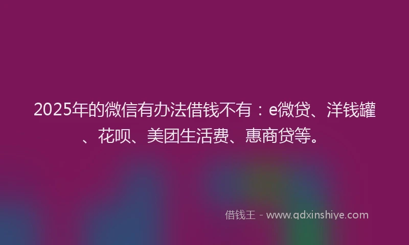 2025年的微信有办法借钱不有：e微贷、洋钱罐、花呗、美团生活费、惠商贷等。