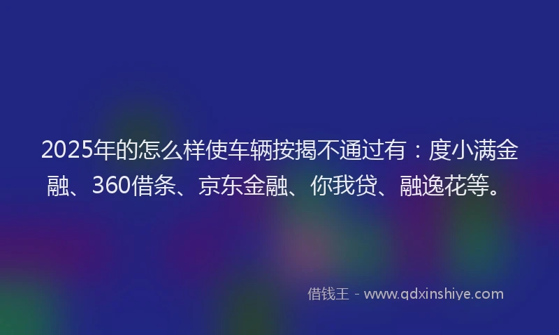 2025年的怎么样使车辆按揭不通过有：度小满金融、360借条、京东金融、你我贷、融逸花等。