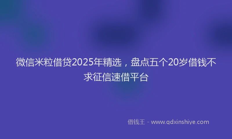 微信米粒借贷2025年精选，盘点五个20岁借钱不求征信速借平台