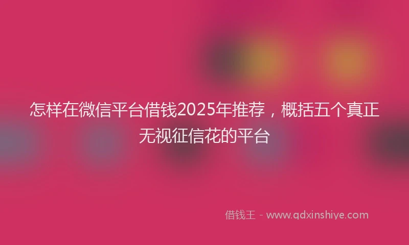 怎样在微信平台借钱2025年推荐，概括五个真正无视征信花的平台