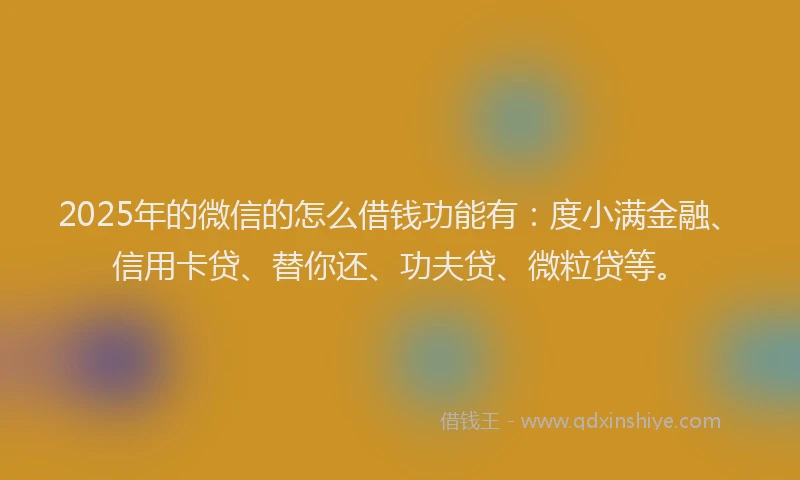 2025年的微信的怎么借钱功能有：度小满金融、信用卡贷、替你还、功夫贷、微粒贷等。