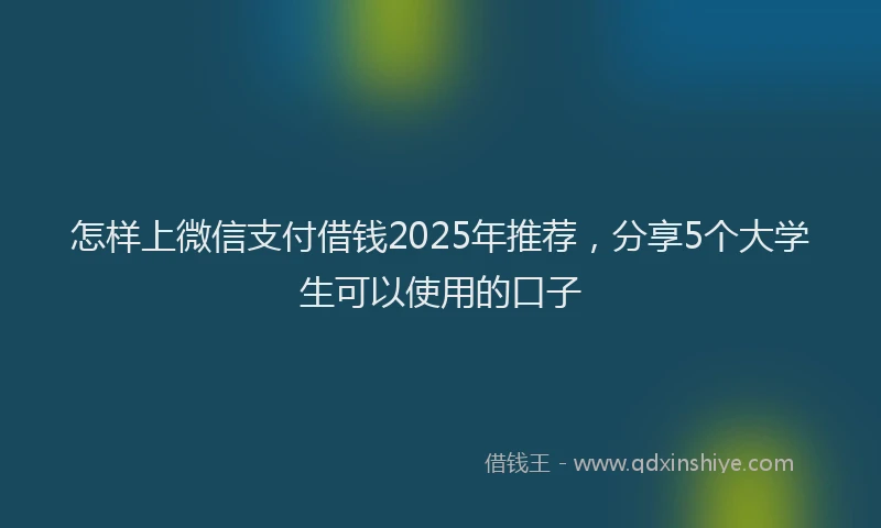 怎样上微信支付借钱2025年推荐，分享5个大学生可以使用的口子