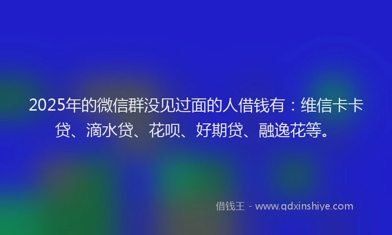2025年的微信群没见过面的人借钱有：维信卡卡贷、滴水贷、花呗、好期贷、融逸花等。
