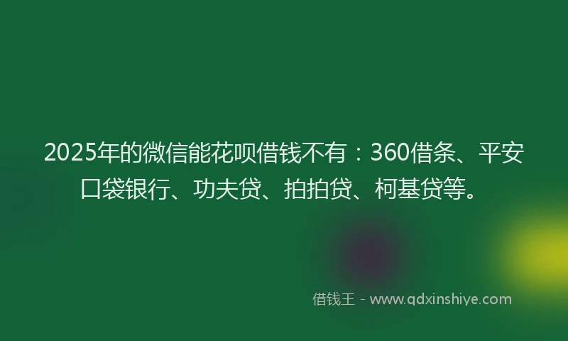 2025年的微信能花呗借钱不有:360借条、平安口袋银行、功夫贷、拍拍贷、柯基贷等。