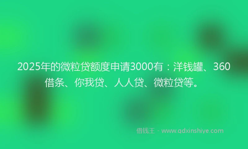 2025年的微粒贷额度申请3000有：洋钱罐、360借条、你我贷、人人贷、微粒贷等。