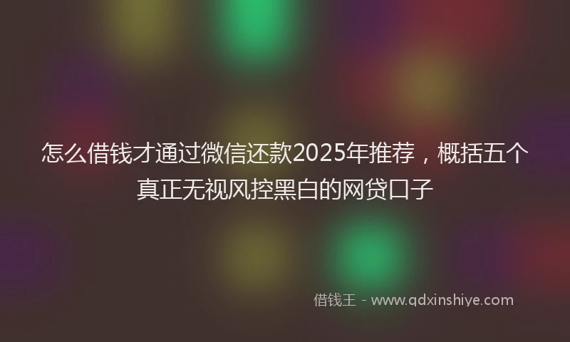怎么借钱才通过微信还款2025年推荐，概括五个真正无视风控黑白的网贷口子