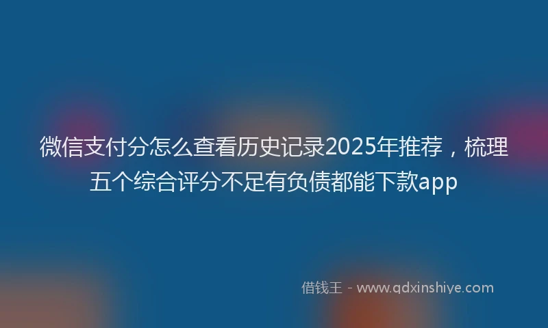 微信支付分怎么查看历史记录2025年推荐，梳理五个综合评分不足有负债都能下款app