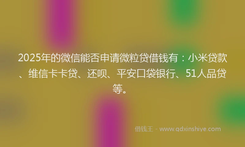 2025年的微信能否申请微粒贷借钱有：小米贷款、维信卡卡贷、还呗、平安口袋银行、51人品贷等。