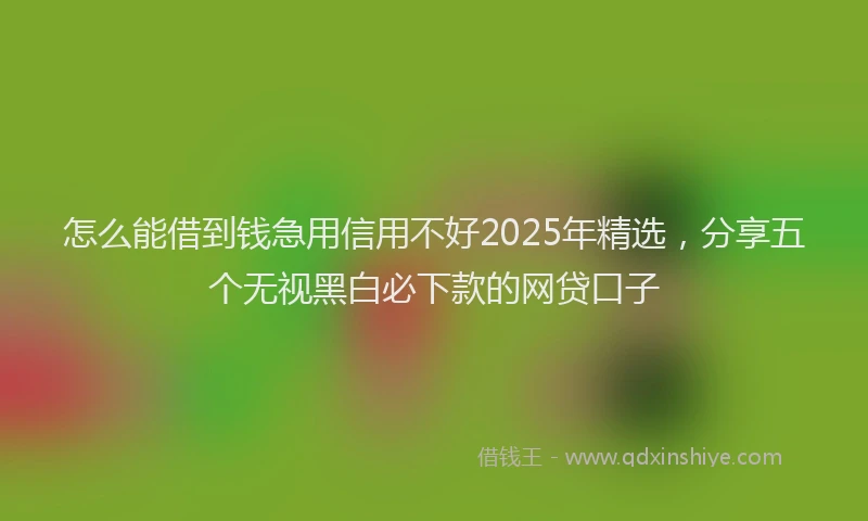 怎么能借到钱急用信用不好2025年精选，分享五个无视黑白必下款的网贷口子