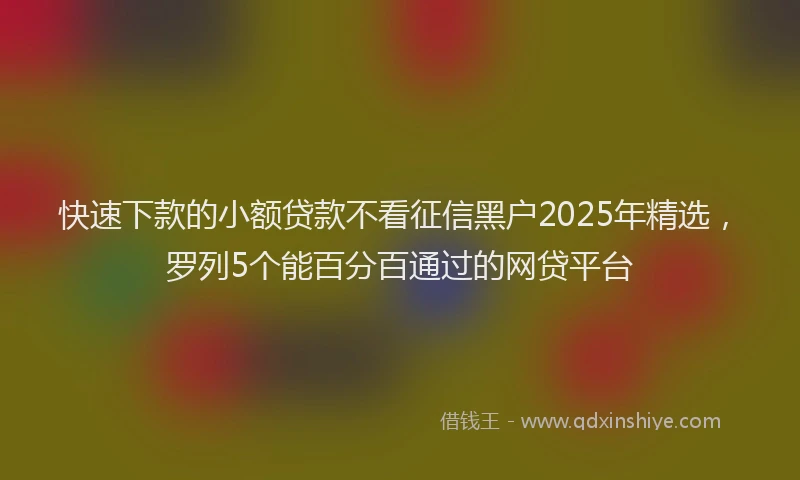 快速下款的小额贷款不看征信黑户2025年精选，罗列5个能百分百通过的网贷平台