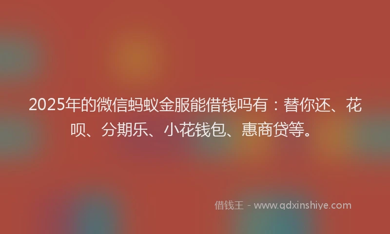 2025年的微信蚂蚁金服能借钱吗有：替你还、花呗、分期乐、小花钱包、惠商贷等。