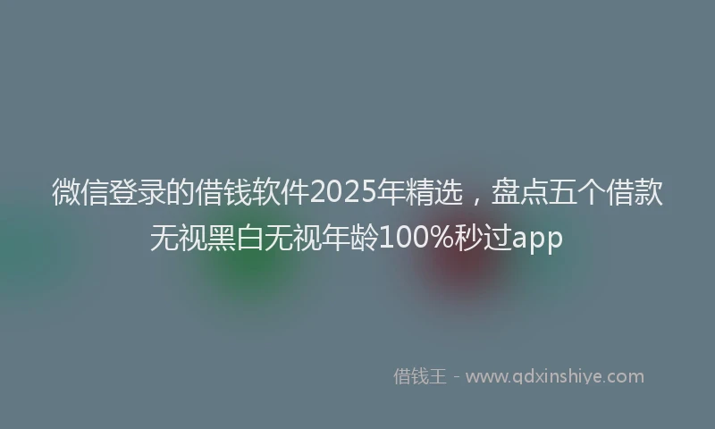 微信登录的借钱软件2025年精选，盘点五个借款无视黑白无视年龄100%秒过app