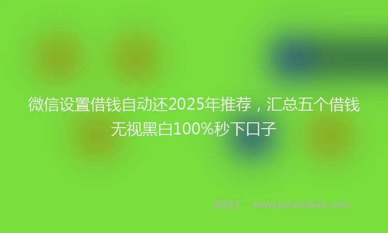 微信设置借钱自动还2025年推荐，汇总五个借钱无视黑白100%秒下口子