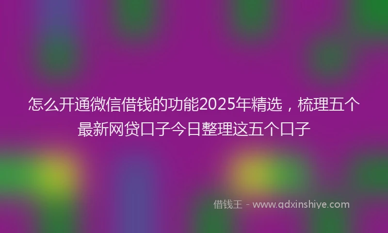 怎么开通微信借钱的功能2025年精选，梳理五个最新网贷口子今日整理这五个口子