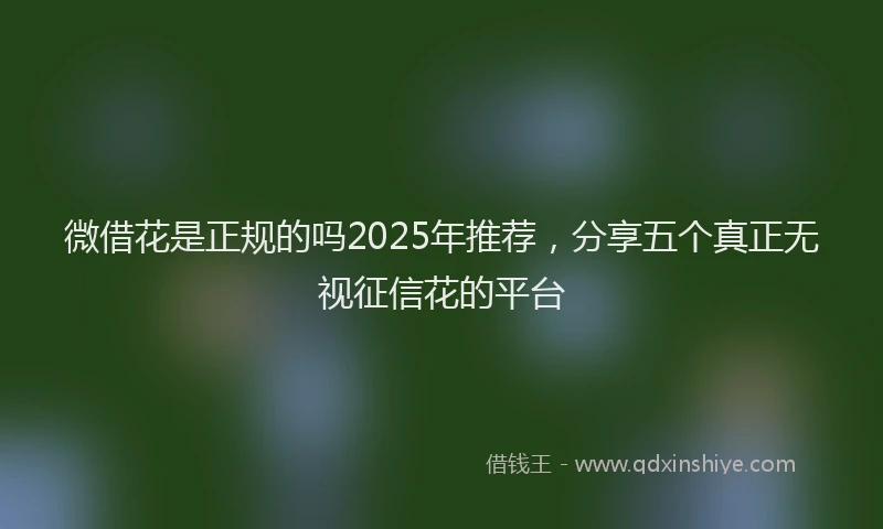 微借花是正规的吗2025年推荐，分享五个真正无视征信花的平台
