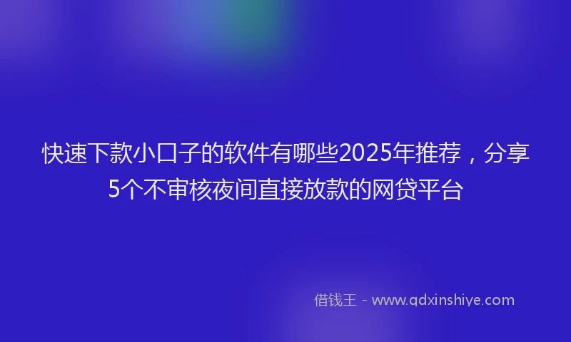 快速下款小口子的软件有哪些2025年推荐，分享5个不审核夜间直接放款的网贷平台