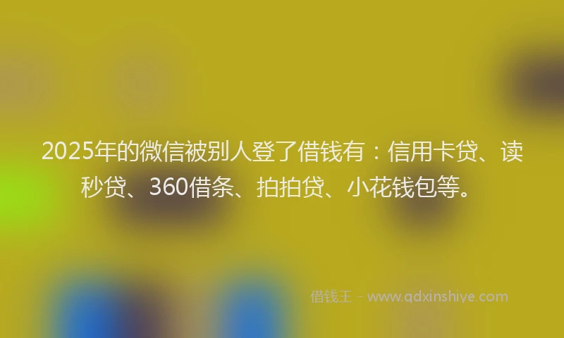2025年的微信被别人登了借钱有：信用卡贷、读秒贷、360借条、拍拍贷、小花钱包等。