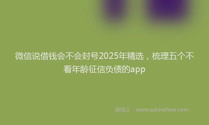 微信说借钱会不会封号2025年精选，梳理五个不看年龄征信负债的app