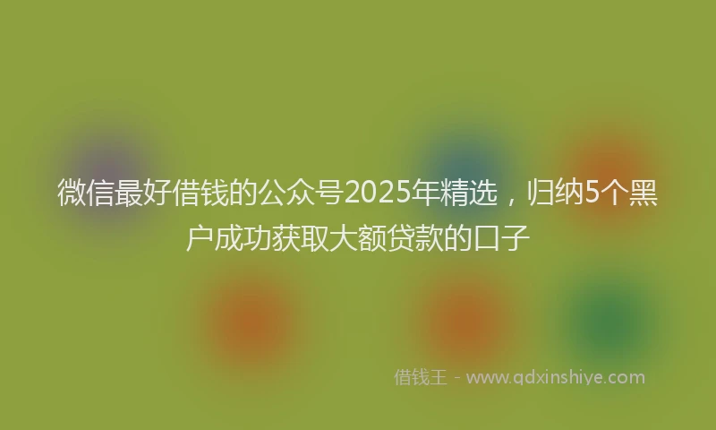 微信最好借钱的公众号2025年精选，归纳5个黑户成功获取大额贷款的口子